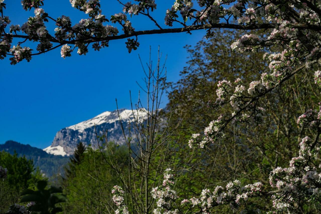 La Fraceline Villa Saint-Pierre-d'Entremont  Dış mekan fotoğraf